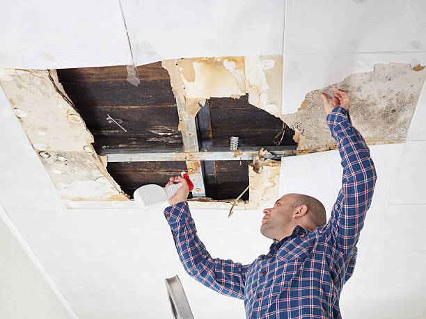 Best Commercial Mold Inspection  in Linwood, PA